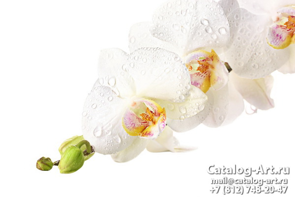 картинки для фотопечати на потолках, идеи, фото, образцы - Потолки с фотопечатью - Белые орхидеи 44